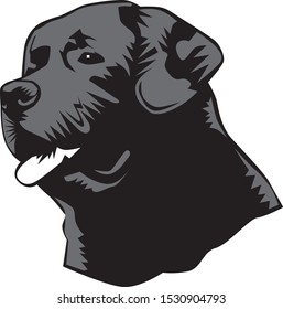black and white illustration clipart of a black labrador retriever head