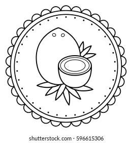 Black and white illustration of a coconut. Coloring page.