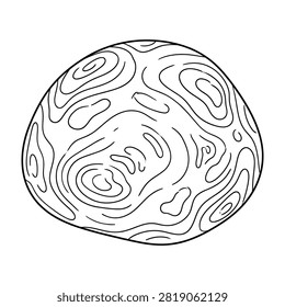 Black and white illustration of contour lines on rounded surface, topographic map style