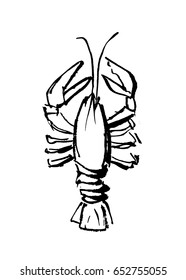 Black and white illustration crayfish.