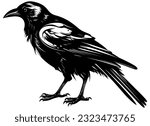 Black and white illustration of crow or raven.
