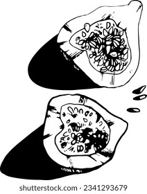 black and white illustration of cut pumpkin with seeds. bright shadow in graphic style