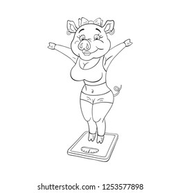 Black and white illustration of cute female pig with pleased face in a fitness sportswear standing on floor scales.  Funny cartoon character

