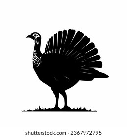 black and white illustration design of turkey chicken on a white background