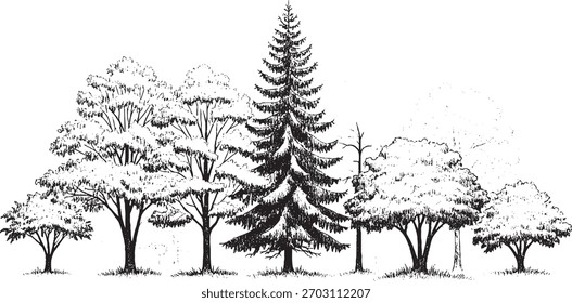 Black and white illustration of different tree types, creating a forest scene.