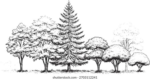 Black and white illustration of different types of trees, showcasing their unique shapes and textures.