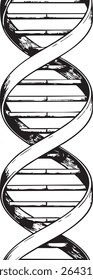 A black and white illustration of a DNA double helix, showcasing a stylized and graphic representation of genetic structure.
