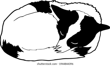 Black and white illustration of a dog sleeping in a ball.