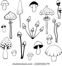 Black and white illustration in doodle style, a set of forest mushrooms isolated on a white background. Drawn by hand. Element for design and decoration.