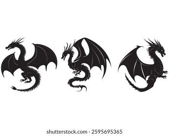 Black and white illustration of a dragon with wings Set