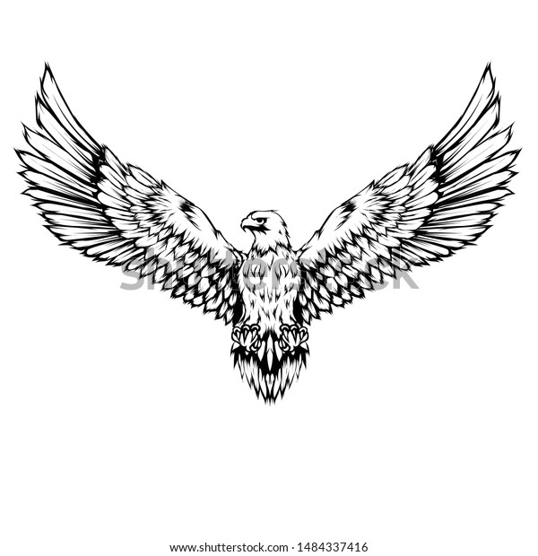 鷲の白黒のイラスト のベクター画像素材 ロイヤリティフリー