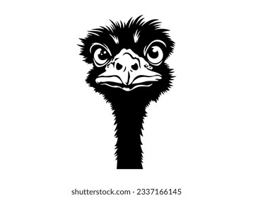 Black and white illustration of emu bird