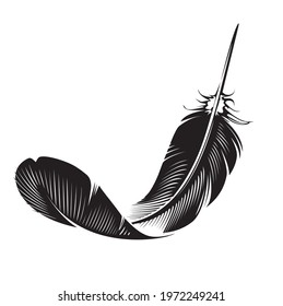 Black and white illustration of feather