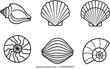 A black and white illustration featuring six different types of seashells and a nautilus in silhouette