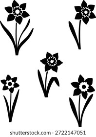 Ilustração em preto e branco de cinco narcisos