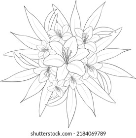 black and white illustration flower coloring page