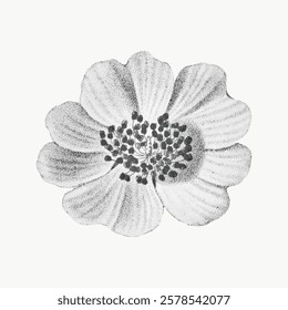 Black and white illustration of a flower with detailed petals and a textured center. The flower's monochrome design highlights its intricate patterns and shapes. Vintage flower illustration, vector.