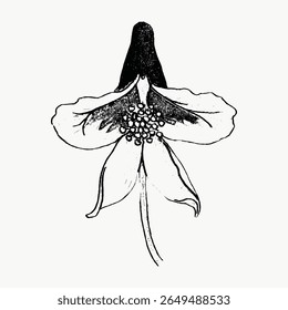 Black and white illustration of a flower with detailed petals and a prominent center. The flower drawing showcases intricate petal and a striking central area. Vintage flower illustration vector.