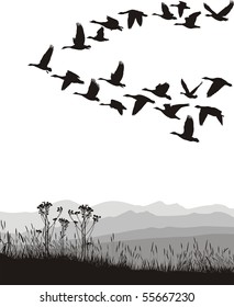 Black and white illustration of the flying geese