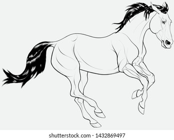 Black and white illustration of a galloping horse. The young stallion with dark mane pulled his ears back and proudly moving at a fast pace. Vector clip art, decoration element.