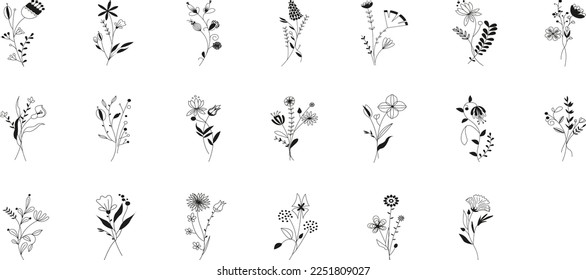 Black and white illustration ginkgo biloba, ginko, eucalyptus, maple, oak, herbs. Vector leaves branches set isolated on transparent background. Decorative vintage elements for decoration collection