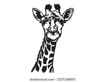 Black and white illustration of giraffe