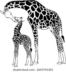 Black and white illustration with a giraffe mother and giraffe calf. Vector illustration. Ideal for a poster, postcard or banner.