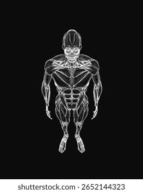 Uma ilustração em preto e branco de um corpo humano revela um esqueleto detalhado com musculatura visível e articulações. O contorno destaca a precisão anatômica contra um fundo escuro.