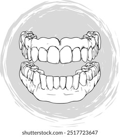 Ilustração em preto e branco dos dentes superiores e inferiores humanos. Imagem vetorial detalhada da anatomia dentária, perfeita para uso médico, dentário ou educacional.