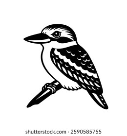 a black and white illustration of a kookaburra bird perched on a branch, with detailed feather patterns and a prominent beak