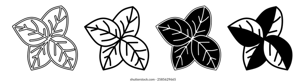 Black and white illustration of a leaves. Leaves icon collection with line. Stock vector illustration.
