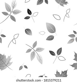 black and white illustration. leaves on a white background. falling leaves. Maple leaves
