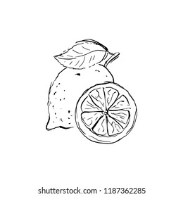 Black and white illustration of lemons ink.