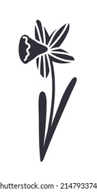 Black and white illustration of narcissus. Hand drawn vector icon in flat style.