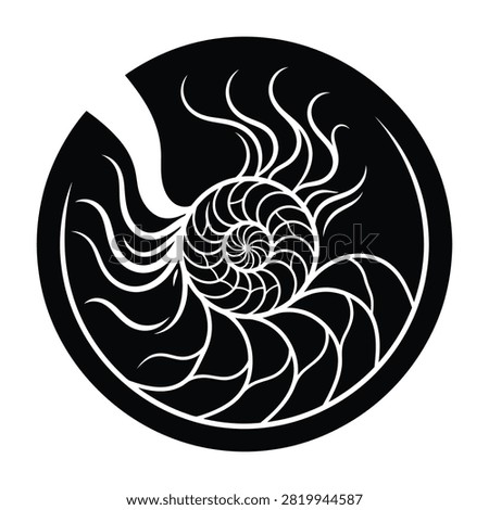 a black and white illustration of a nautilus shell spiral design abstract symbol