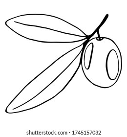 Black and white illustration of olive branch.