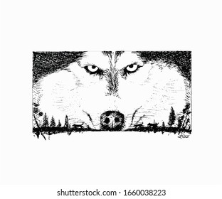 Black and white illustration on Husky dog. Pen and ink art of Husky dog. Concept art of Husky dog. hand Drawn art.