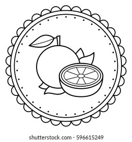 Black and white illustration of an orange. Coloring page.