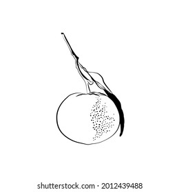 Black and white illustration of an orange with a leaf. Idea for prints on clothes, covers, walls.