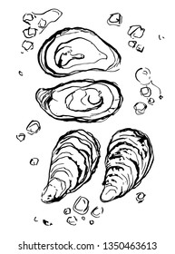 Black and white illustration of oysters.