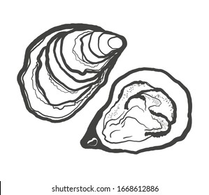 Black and white illustration of oysters isolated on a white background. Vector graphics of shellfish.