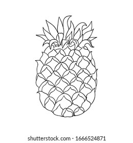 Black and white illustration of pineapple. Hand drawn vector illustration. Doodle of tropical fruit. Pineapple print linear sketch