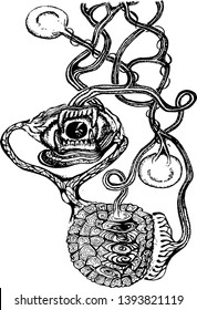 Black white illustration of a psychedelic motif. Eye, jaw, Turtle armor, seeds.