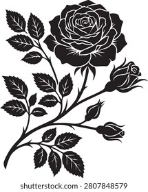 Black and white illustration of a rose branch with two blooming roses and buds blooming illustration botanical graphics ornamental decorative romantic