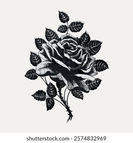 Black and white illustration of a rose with detailed petals and leaves. The rose is intricately drawn, showcasing its beauty and elegance in monochrome. Vintage art drawing, isolated vector.