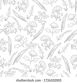 Black and white illustration seamless pattern with flowers and feathers. Vector Coloring Page Background.