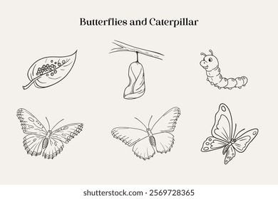 Black and white illustration showcasing the stages of a butterfly's life cycle, including eggs, caterpillar, chrysalis, and the adult butterfly phases, emphasizing natural transformation and biology c