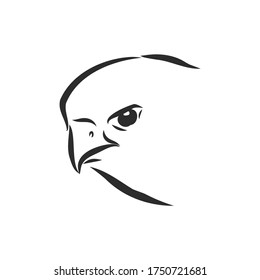 Black and white illustration. Sketch of bird for tattoo art. Detailed hand drawn eagle for tattoo on back. Falcon bird, vector sketch
