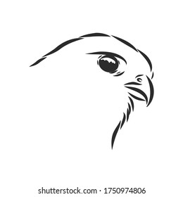Black and white illustration. Sketch of bird for tattoo art. Detailed hand drawn eagle for tattoo on back. Falcon bird, vector sketch