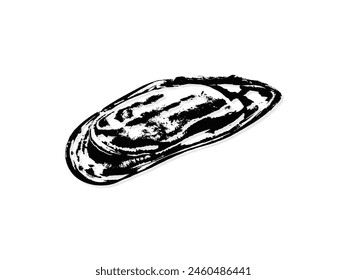 Black and white illustration sketch of a mussel hand drawing vector isolated on white background.